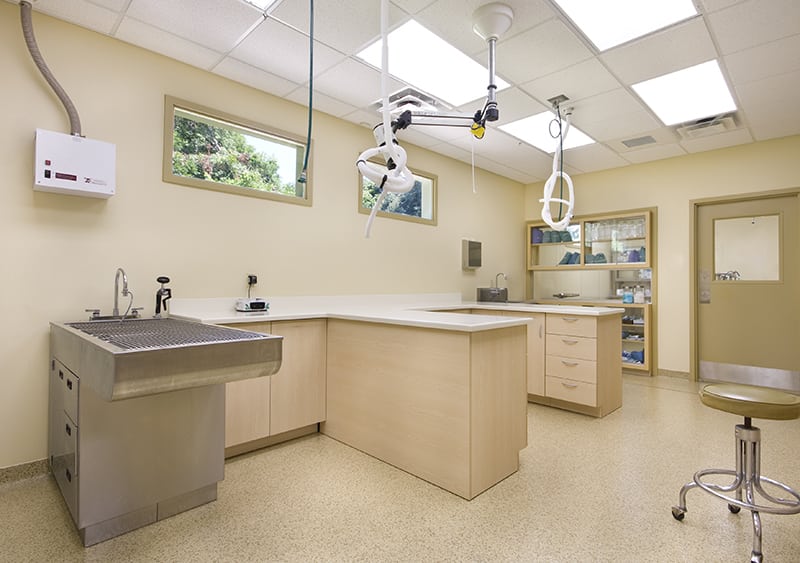 Take a Tour Tour our Baton Rouge, LA Veterinary Hospital