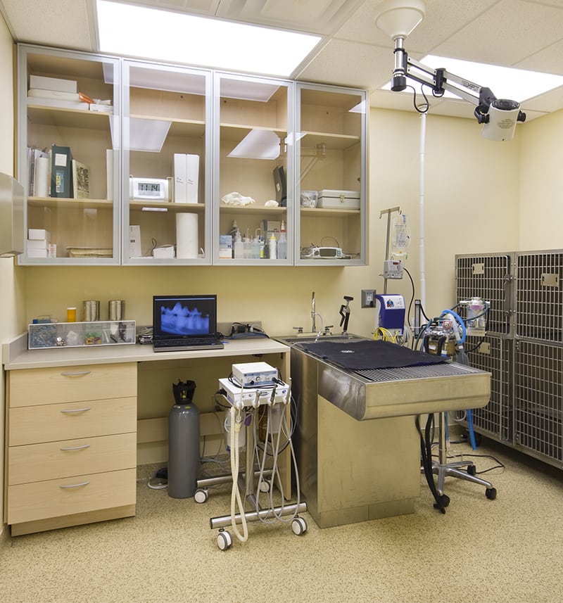 Take a Tour Tour our Baton Rouge, LA Veterinary Hospital