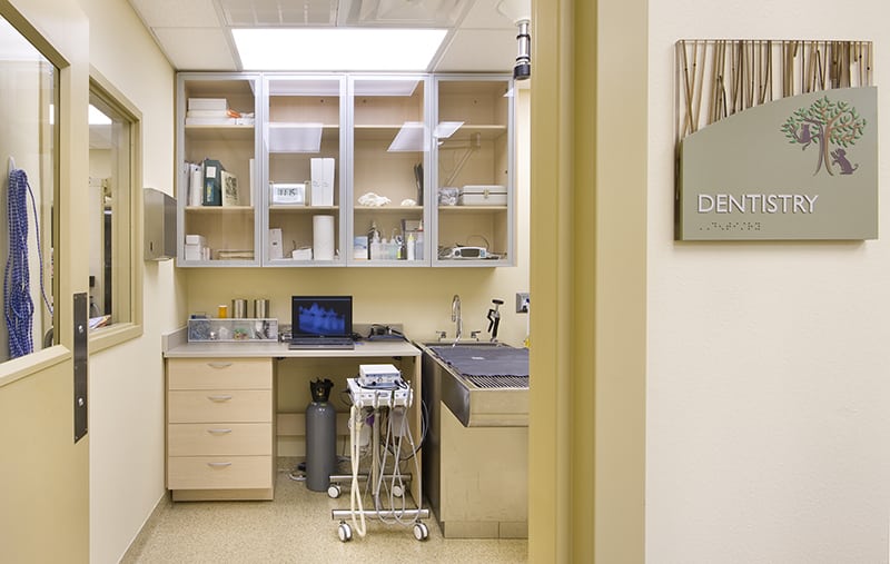 Take a Tour Tour our Baton Rouge, LA Veterinary Hospital