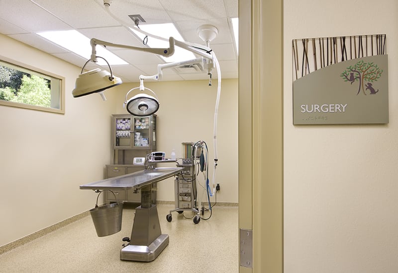 Take a Tour Tour our Baton Rouge, LA Veterinary Hospital