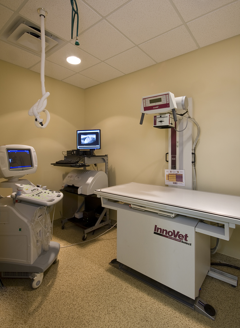 Take a Tour Tour our Baton Rouge, LA Veterinary Hospital