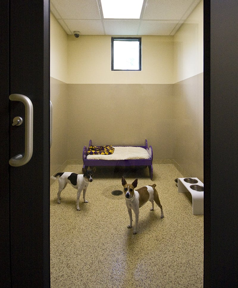 Take a Tour Tour our Baton Rouge, LA Veterinary Hospital