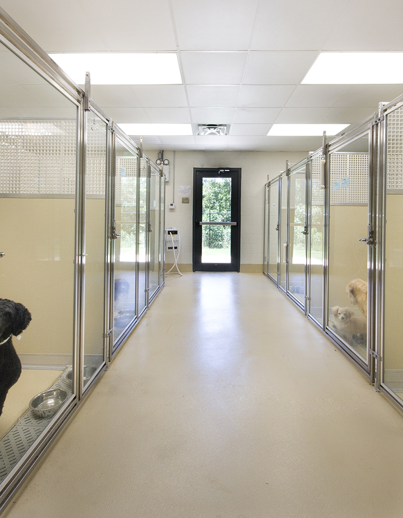 Regular Runs Highland Road Animal Hospital