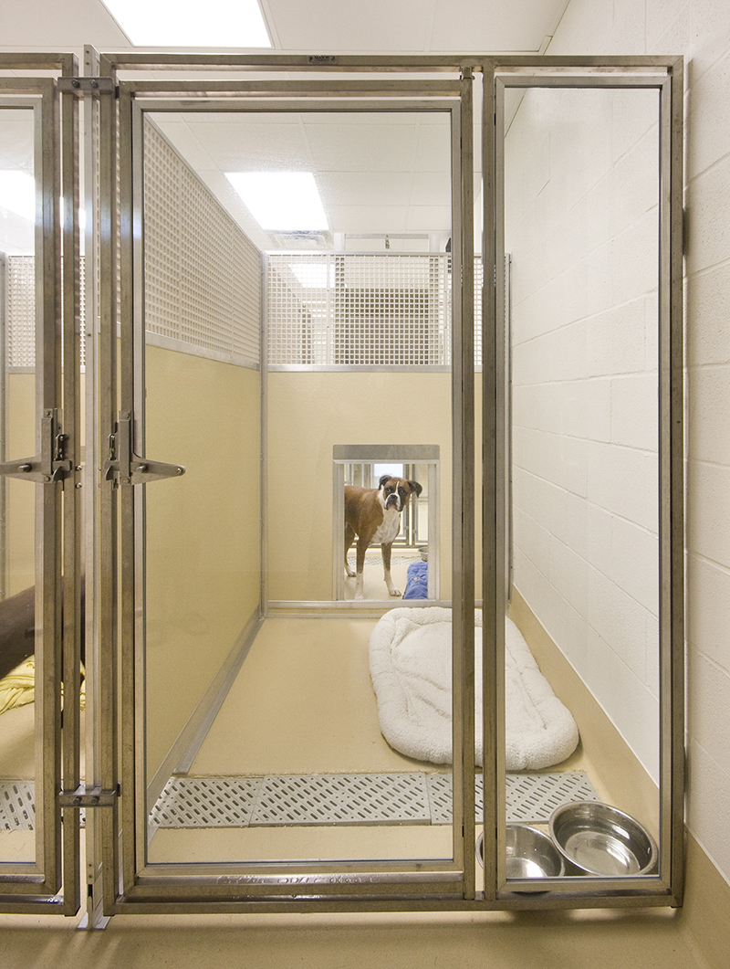 Take a Tour Tour our Baton Rouge, LA Veterinary Hospital