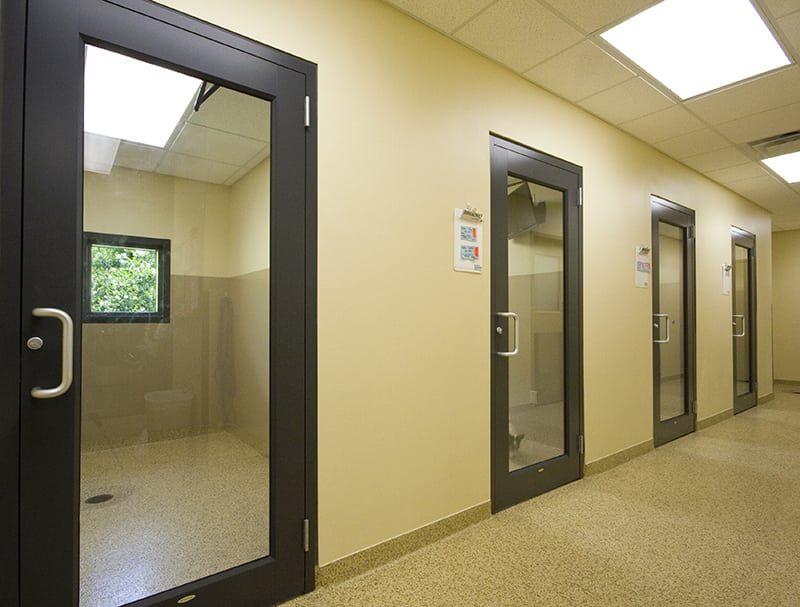 Take a Tour Tour our Baton Rouge, LA Veterinary Hospital