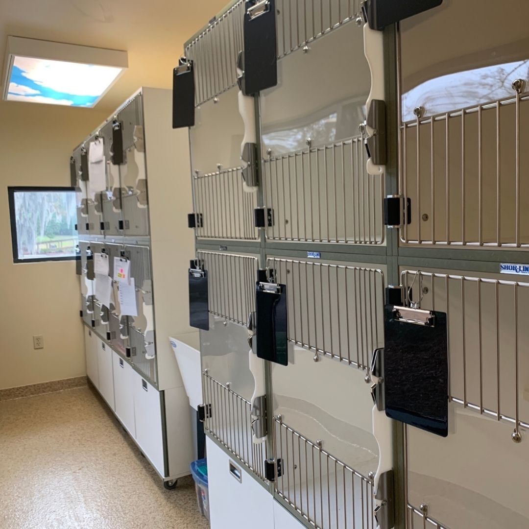 Take a Tour Tour our Baton Rouge, LA Veterinary Hospital