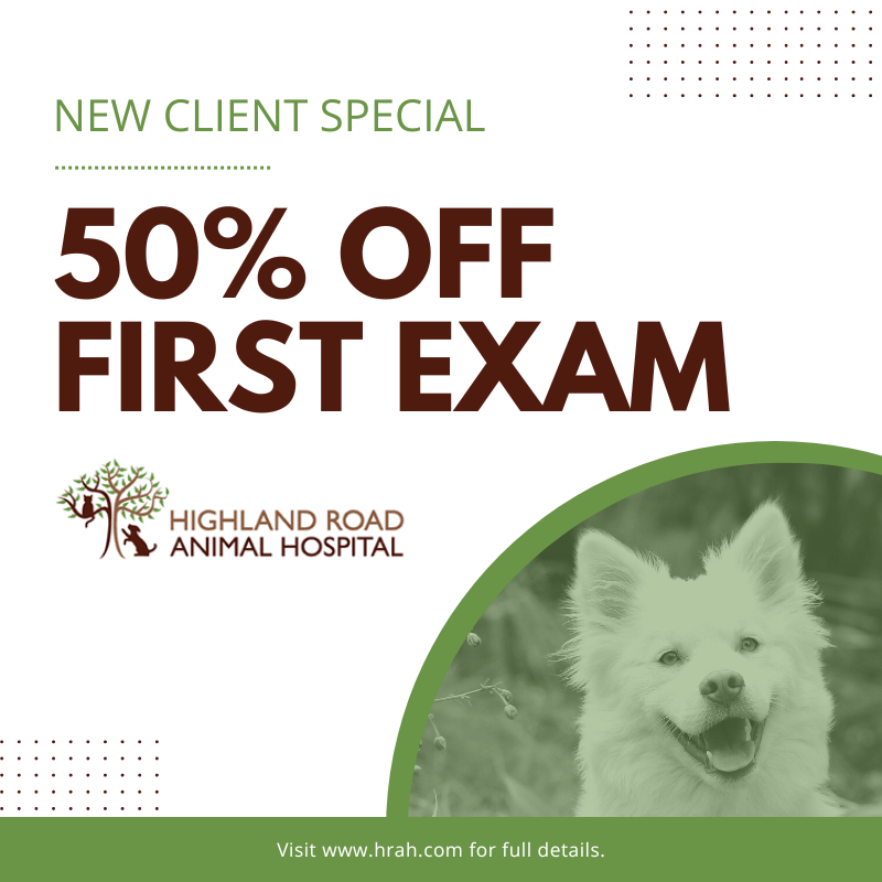 Veterinary Promotions Vet Care In Baton Rouge, LA