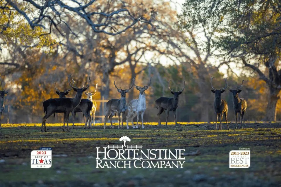 HRC to Exhibit at Hunters Extravaganza 2023 Hortenstine Ranch Company