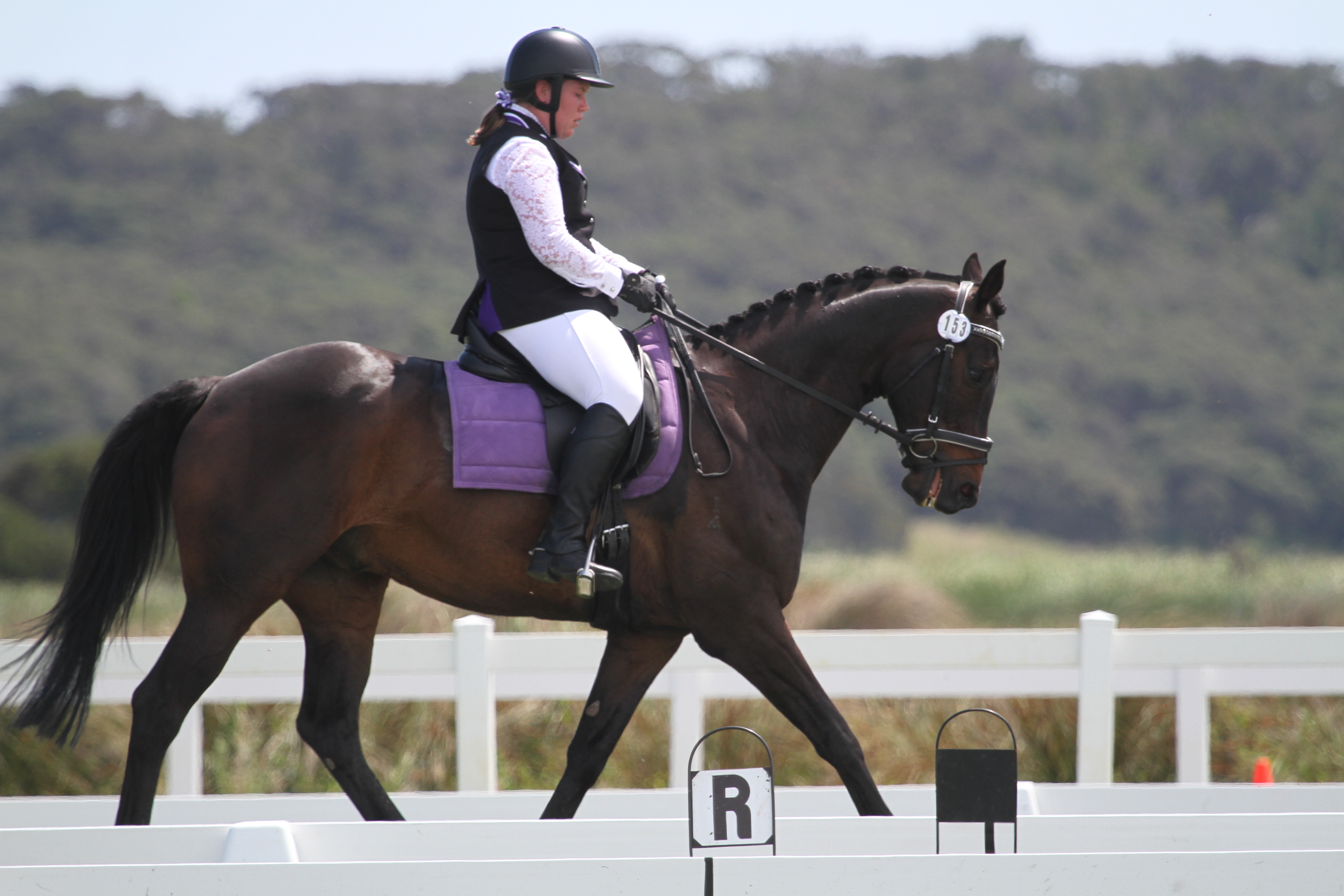 UPDATED DRESSAGE TESTS Horse Riding Club Association of Victoria