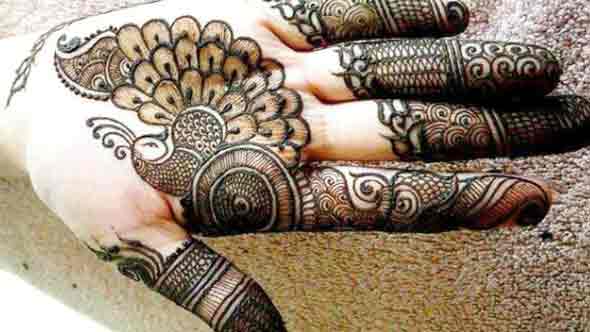 Peacock Mehndi Designs Aapke Hatho Ke Liye Mor Aakratiya