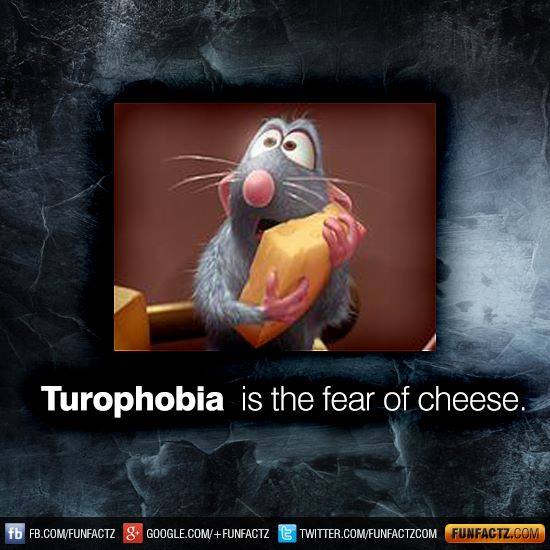 Friday Fun Facts …. “🐁 ‘TUROPHOBIA’ …. It’s for Real 🐁 …. “!! It Is