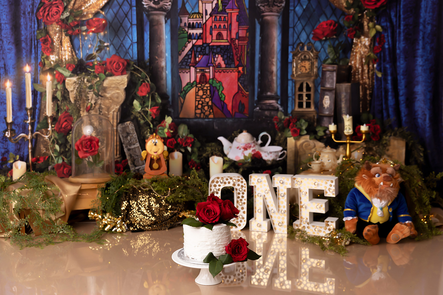 Kitchener Waterloo Beauty and the Beast Cake Smash! Herakovic Photography