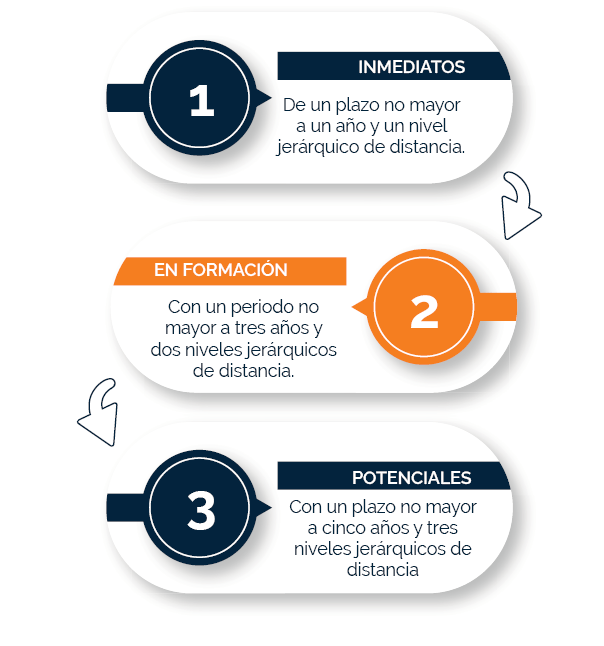 Planes de sucesión Guía de implementación