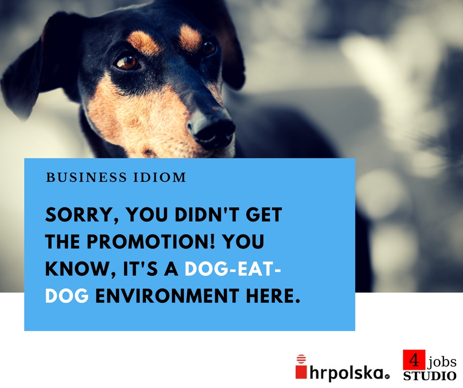 Is Dog Eat Dog An Idiom