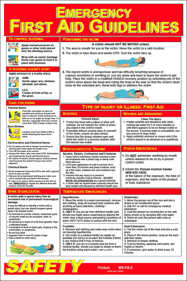 First Aid Guidelines Poster HRPosterStore