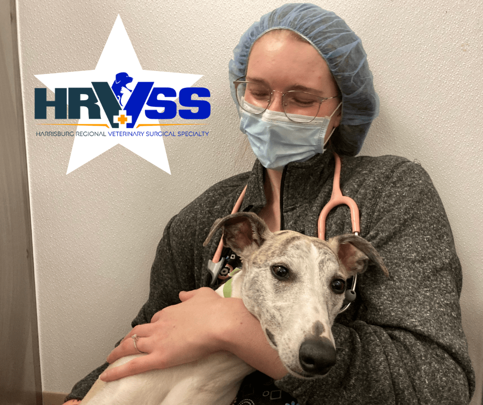 Harrisburg, PA Who We Are Harrisburg Regional Veterinary Surgical