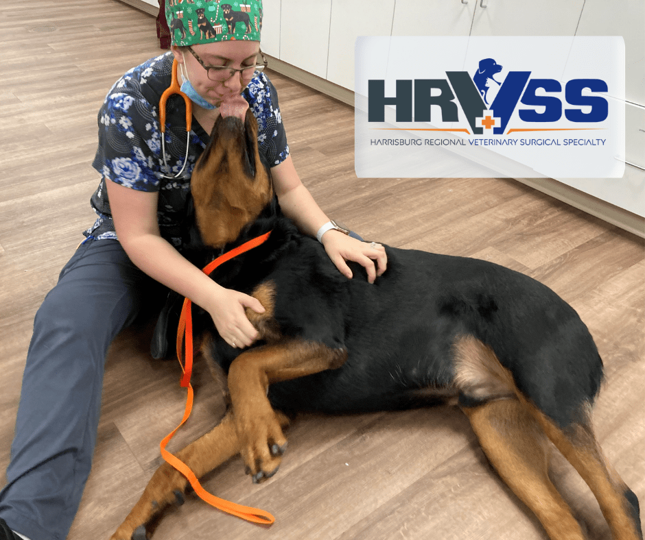 Harrisburg, PA Who We Are Harrisburg Regional Veterinary Surgical