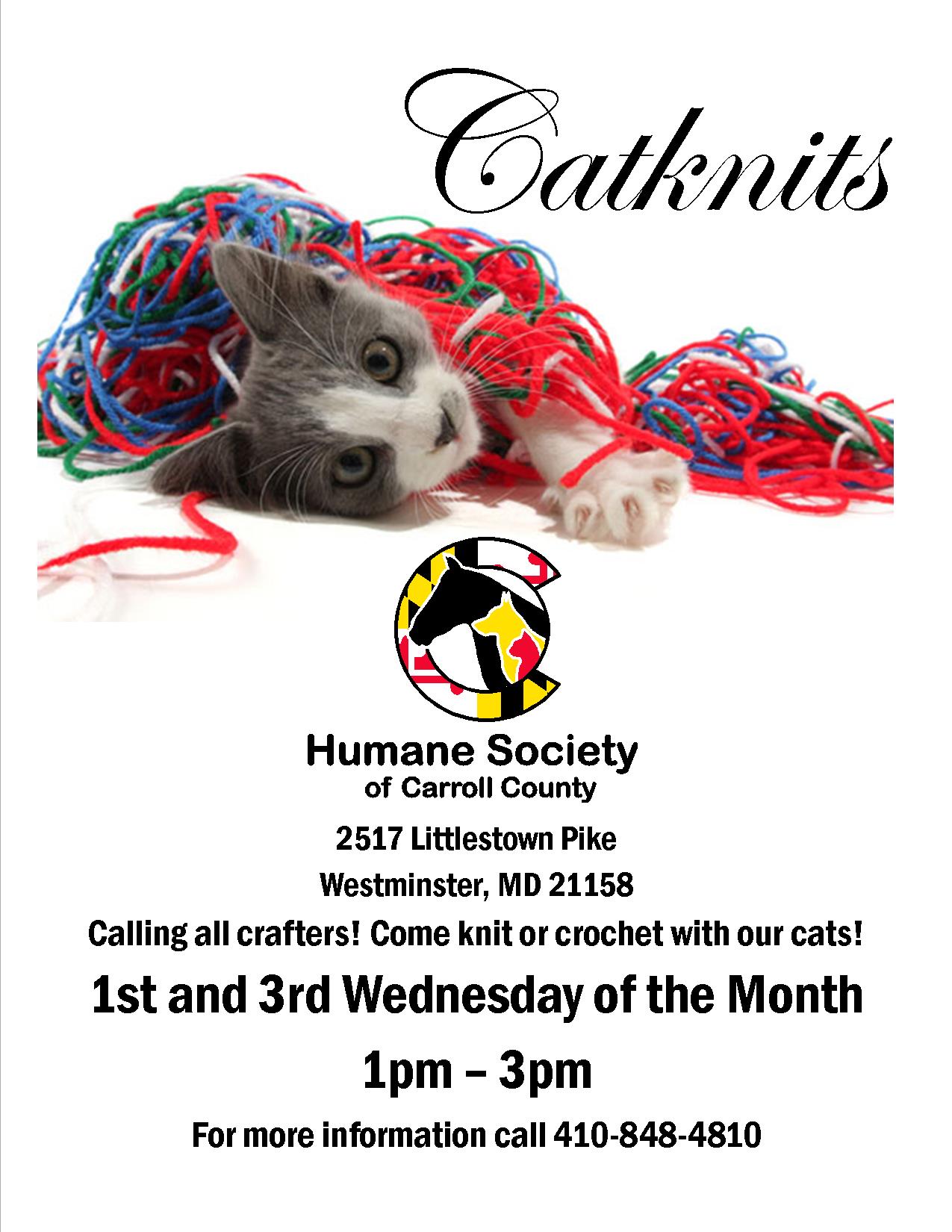 Pet Rescue Westminster Maryland Optnlomes1zumm to the