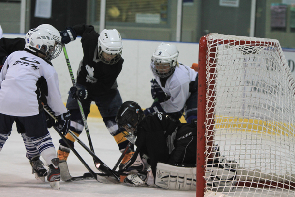 Programs and Camps HSC Hockey