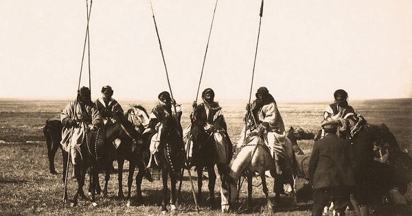 نبذة عن قبيلة بلي