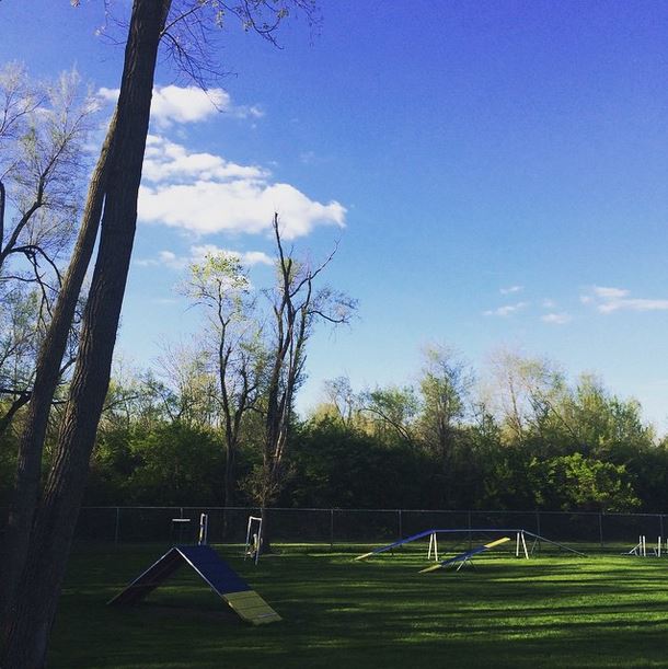 Be Considerate When Using Dog Parks Humane Society of Greater Dayton