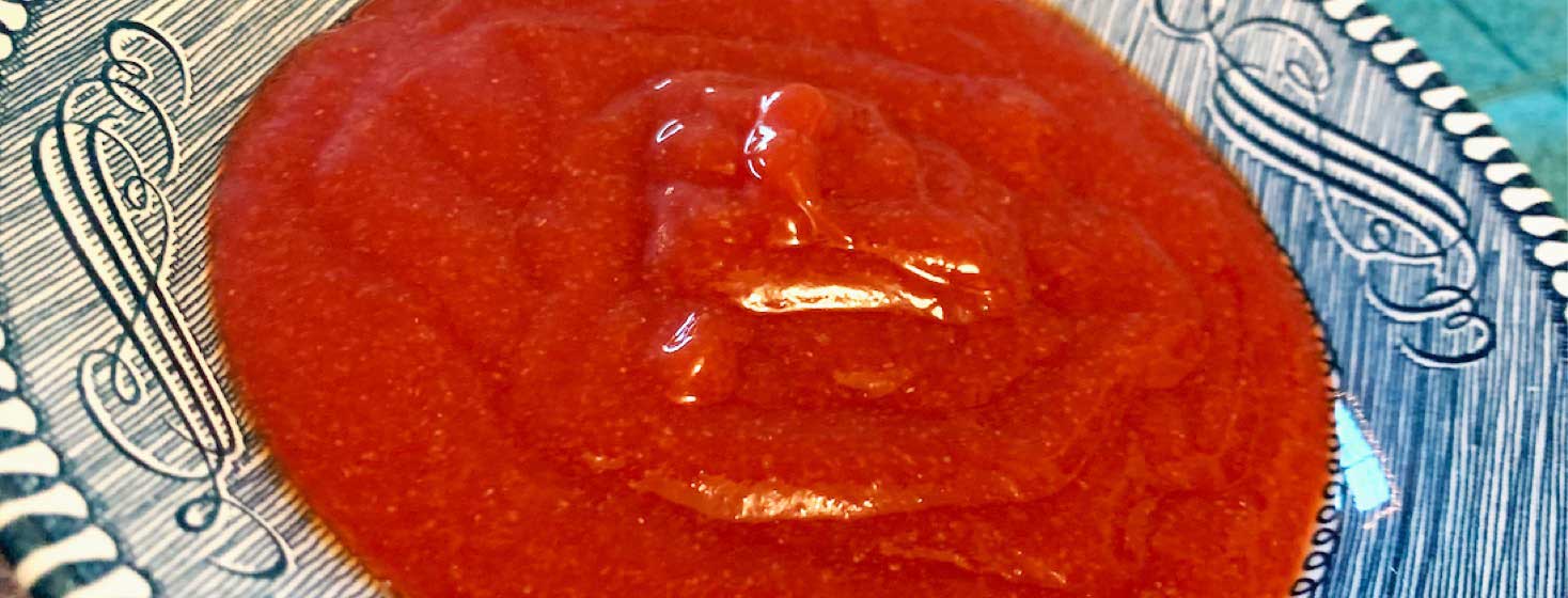 Vegan/Gluten Free Honey Garlic Ketchup Recipe