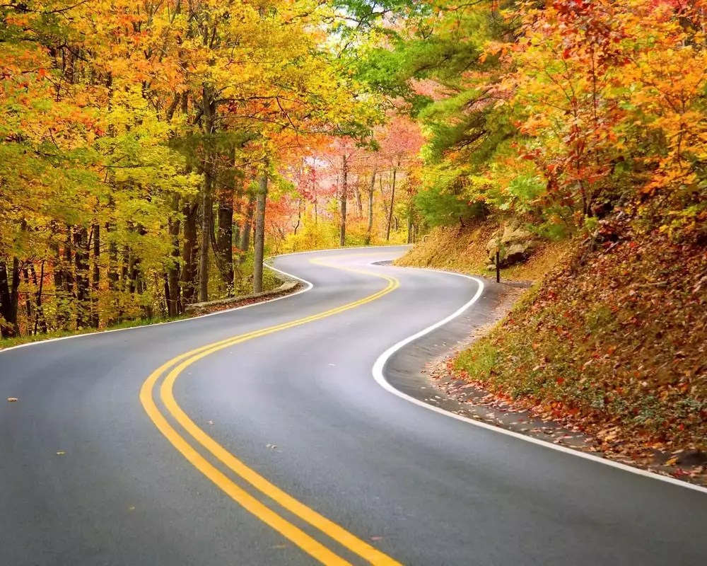 Winding Road Sign What Does It Mean?