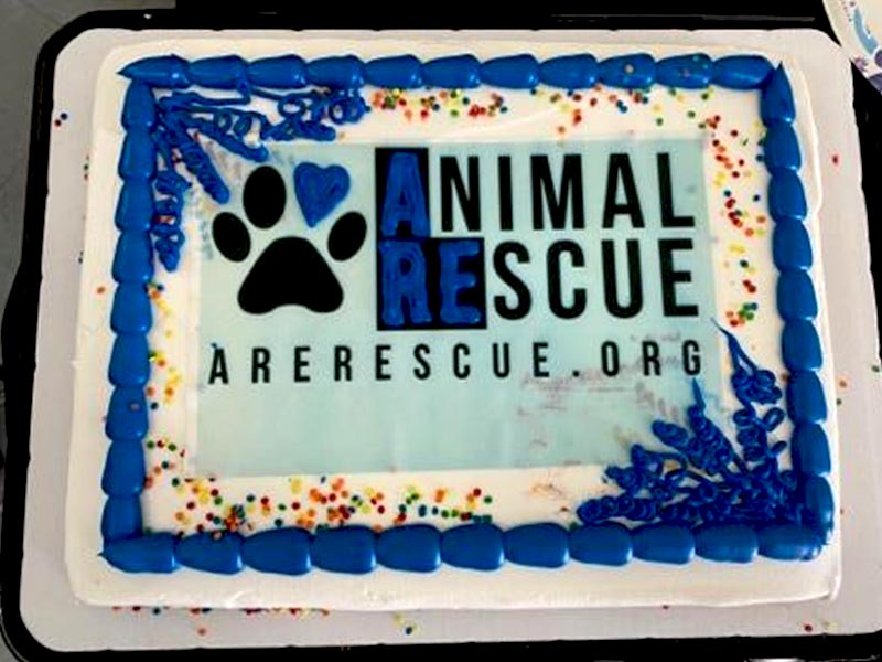ARE Animal Rescue opens its doors, aspiring to end euthanizing practices