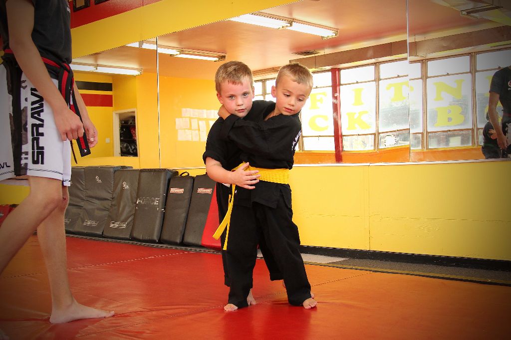 Hamilton School of Martial Arts Jiu Jitsu MMA Kickboxing Ontario