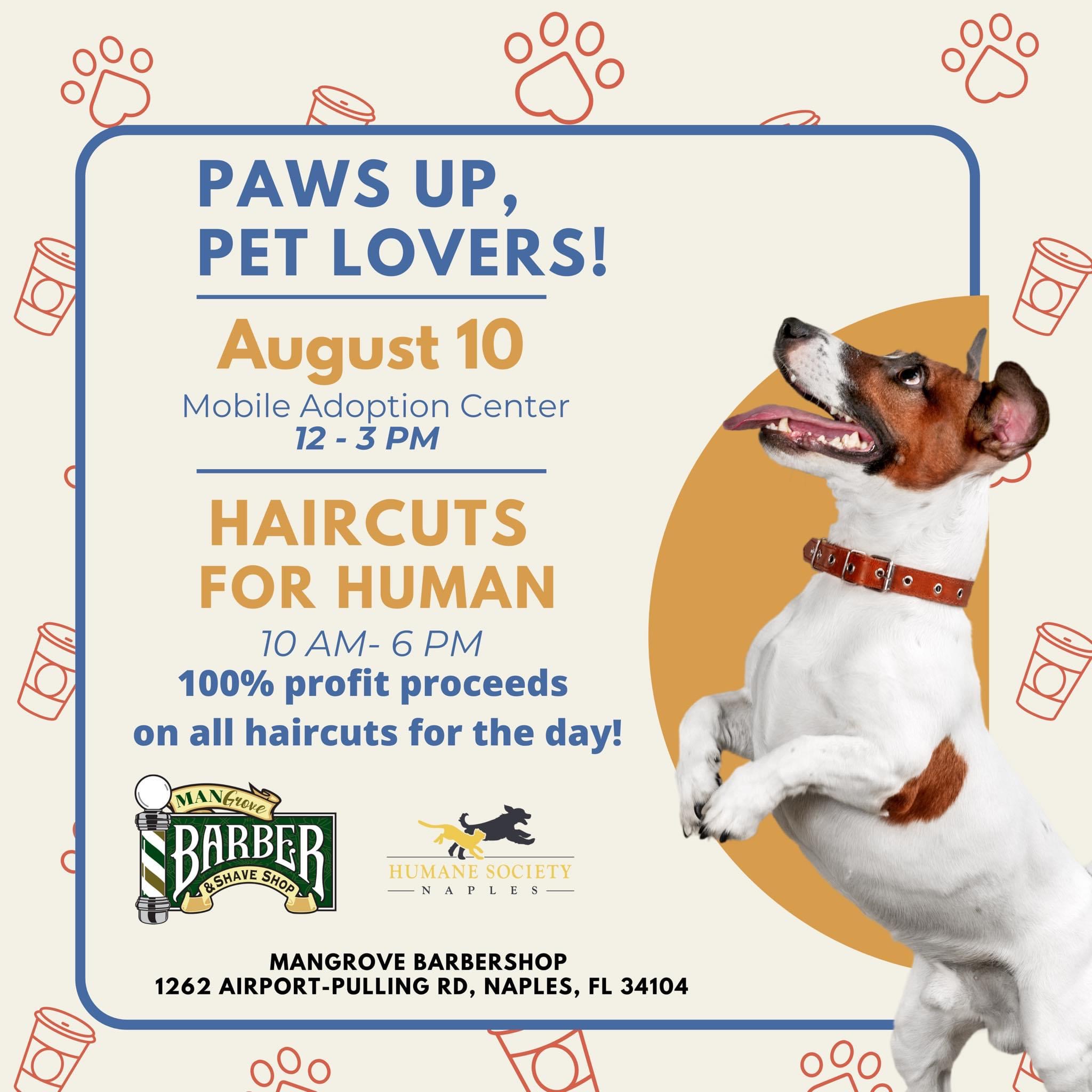 Do Dogs Actually Like Playing Fetch