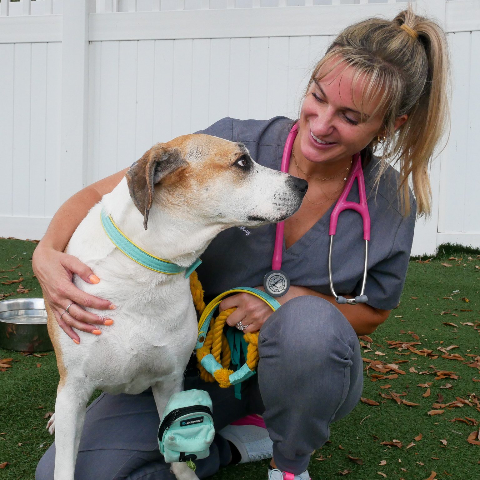 The Yawney Family Veterinary Clinic Humane Society Naples NoKill