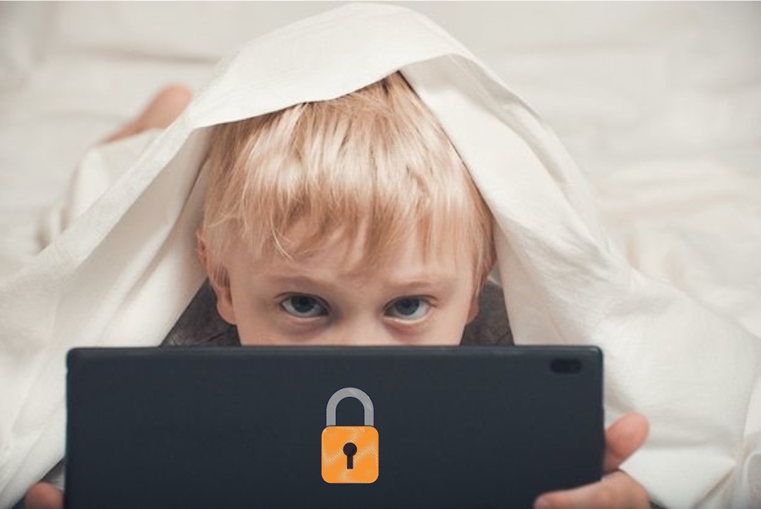 Protecting Children from Cyber Risks with Family DNS - HSNM 