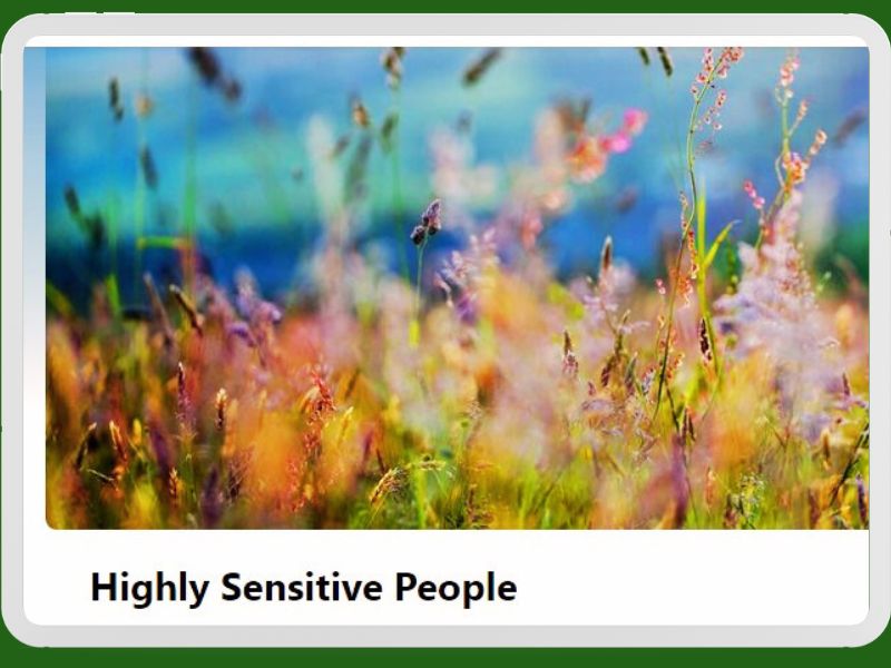 Highly Sensitive People Facebook Group HSP Tools