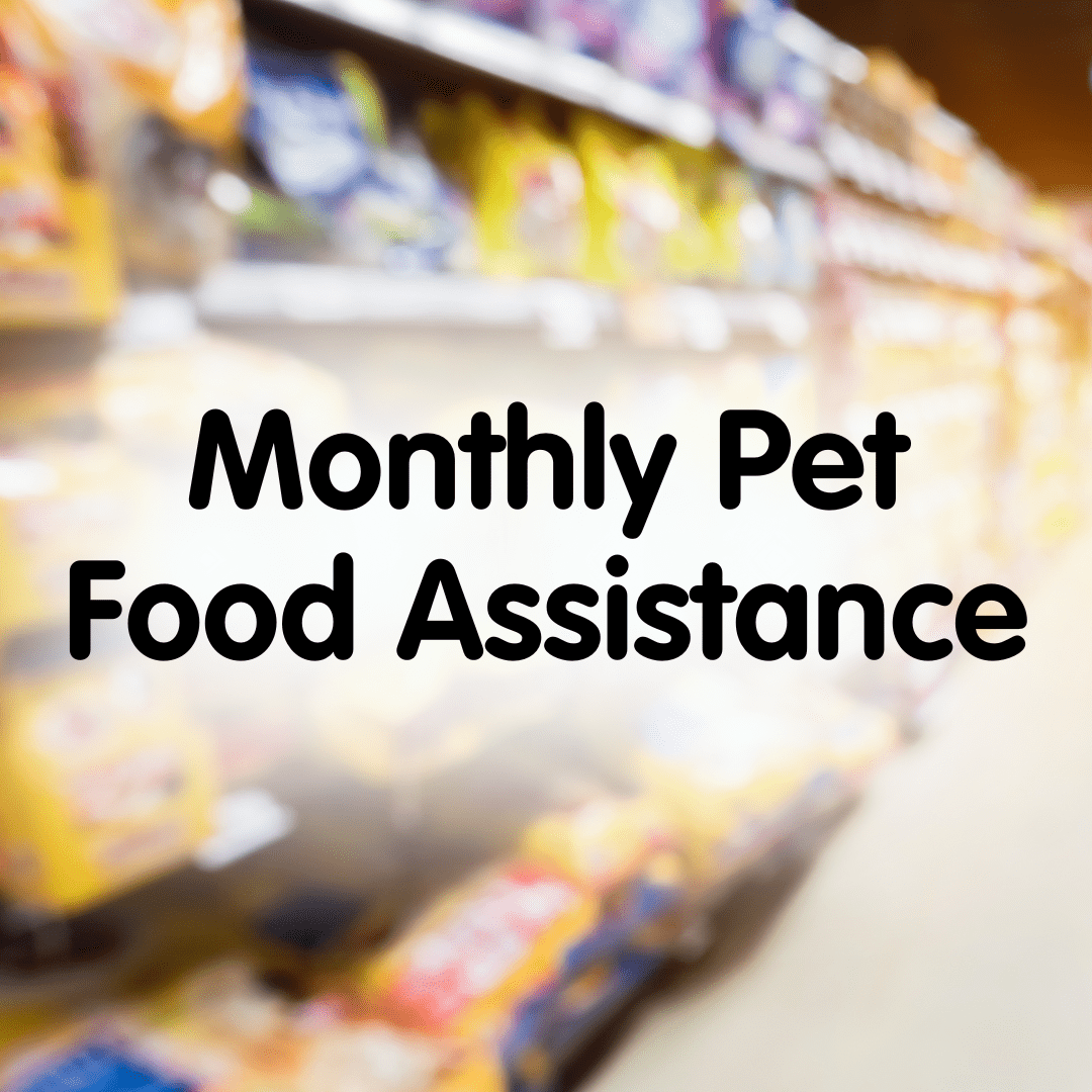 Pet Food Assistance Distribution Humane Society of Southern Arizona