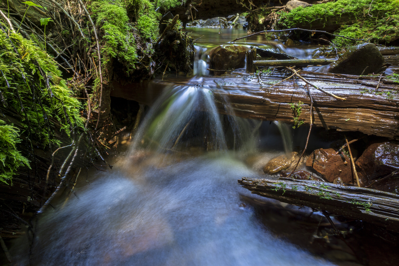 Share the Experience Gifford Pinchot National Forest
