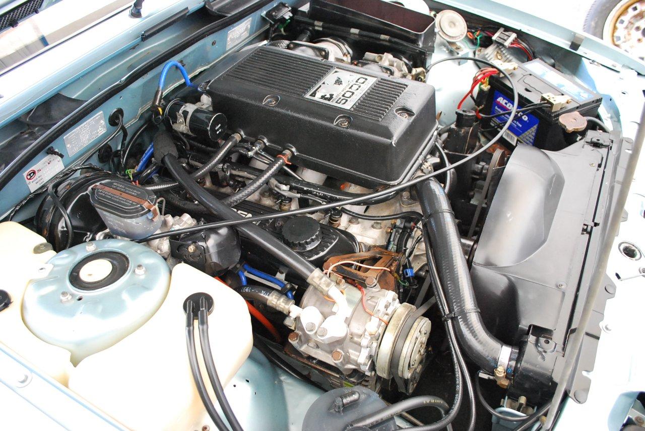 HSV VL SS Group A SV – HSV Database