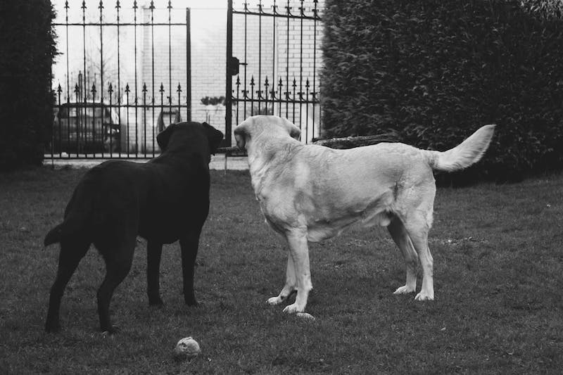 Hausfriedensbruch? Wichtige Infos vom Experten » Anwalt Dr. Hennig