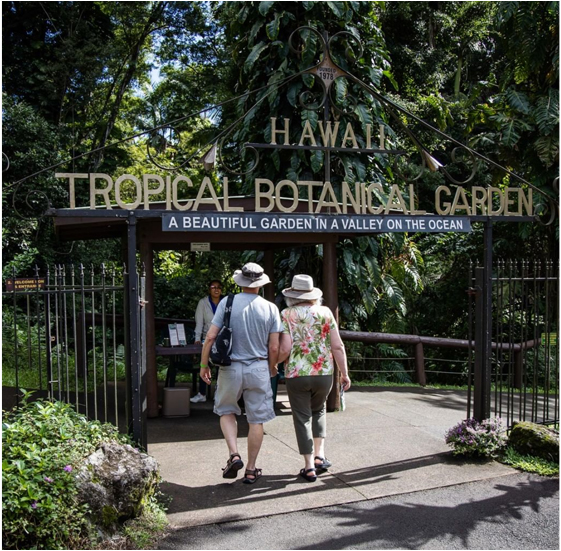 Are Dogs Allowed At Hawaii Tropical Botanical Garden