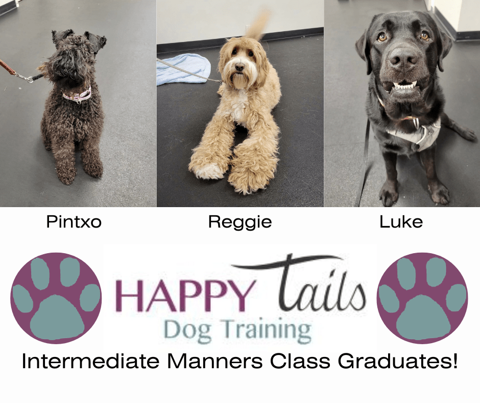 Dog Group Classes Grand Rapids MI Dog Training Classes