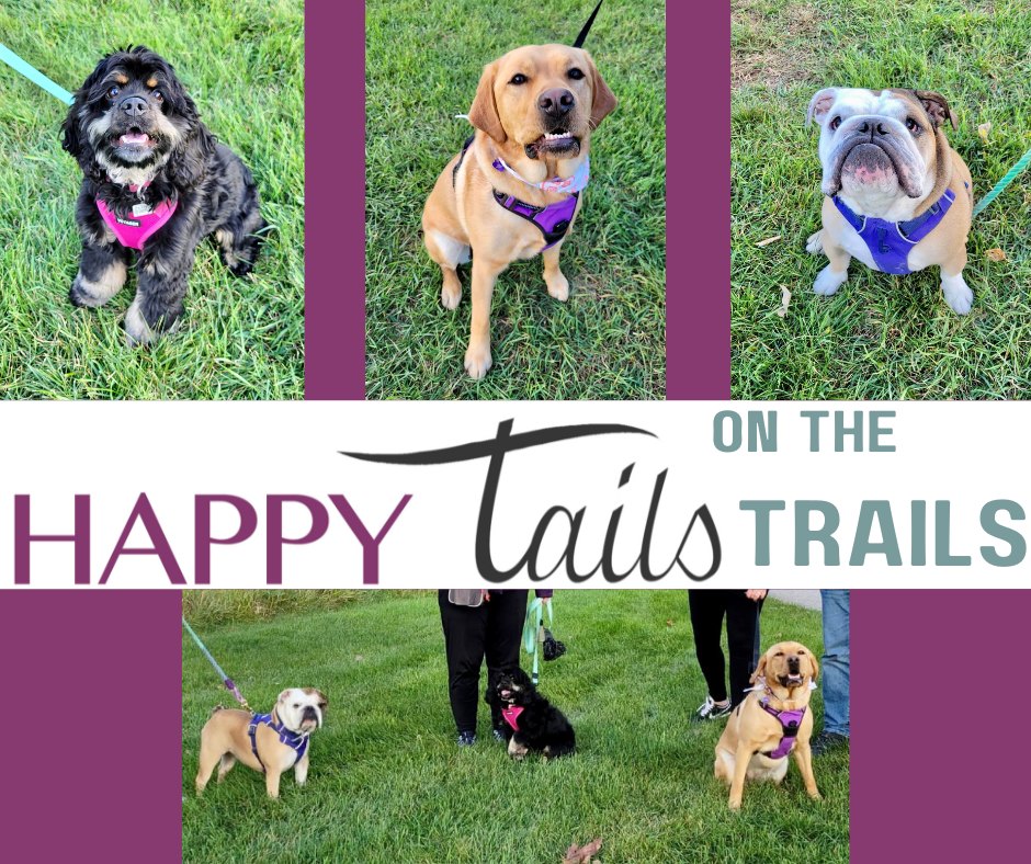 Dog Group Classes Grand Rapids MI Dog Training Classes