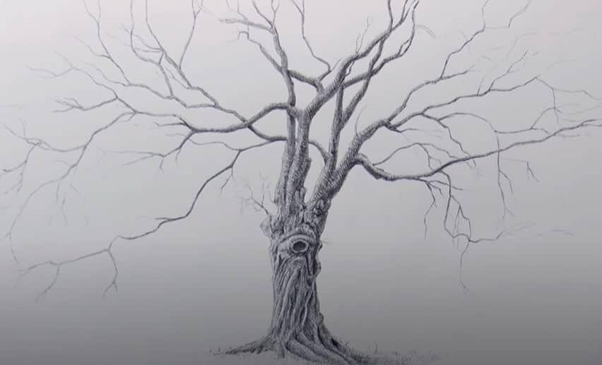How to Draw a Dead Tree Step By Step