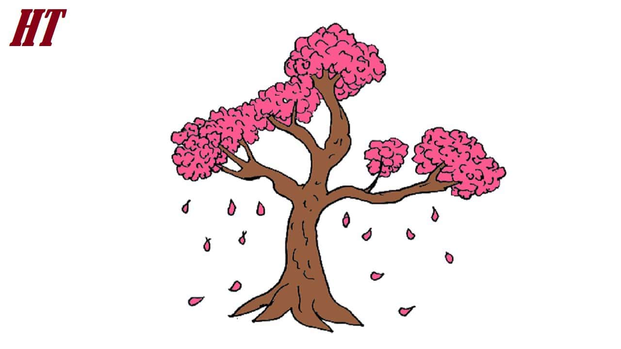 How to Draw a Cherry Tree How to draw step by step