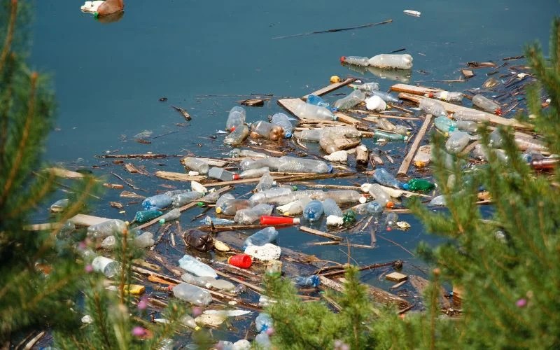 जल प्रदूषण क्या हैं इसके कारण, प्रभाव एवं उपाय HTIPS