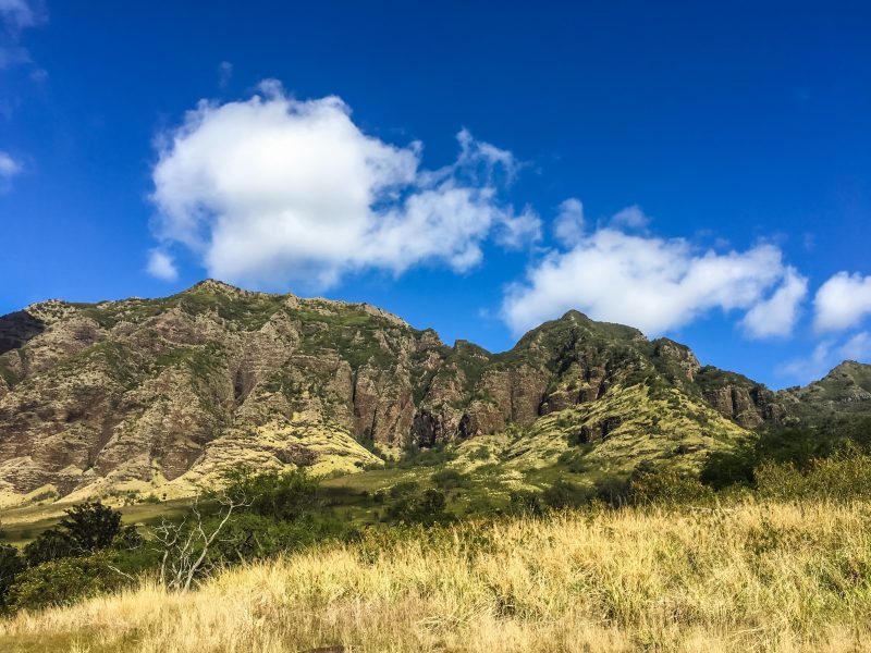 Waianae Ramble February 2017 Hawaiian Trail and Mountain Corporation