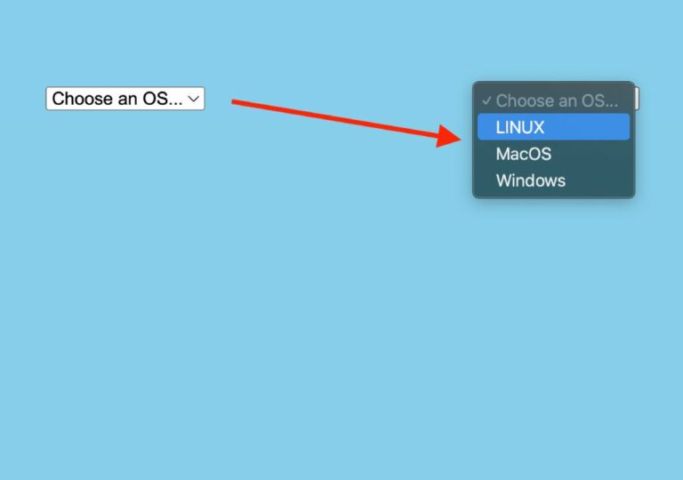 Make a Placeholder for a "Select" Box — 3 Best Ways