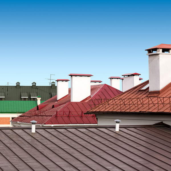 Eco Roofs
