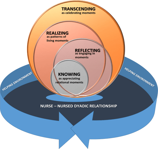 Development of the Emerging Theory of Encountering Nursing in a Nurse