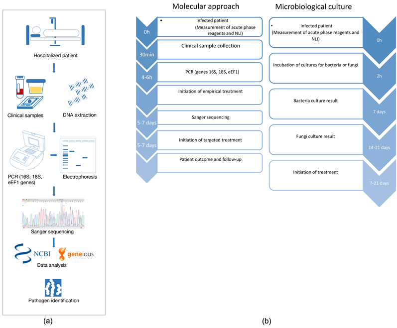 Sanger Sequencing Implementation in Clinically Ill Patients for