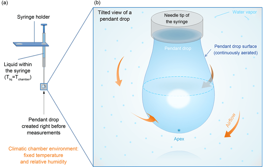 Evolution of a Water Pendant Droplet Effect of Temperature and