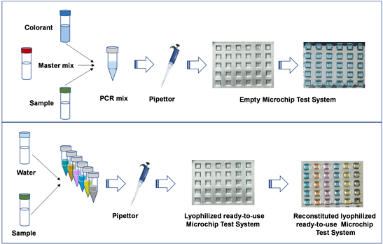 ColorCoding of Microchip RTPCR Test System for SARSCoV2 Detection